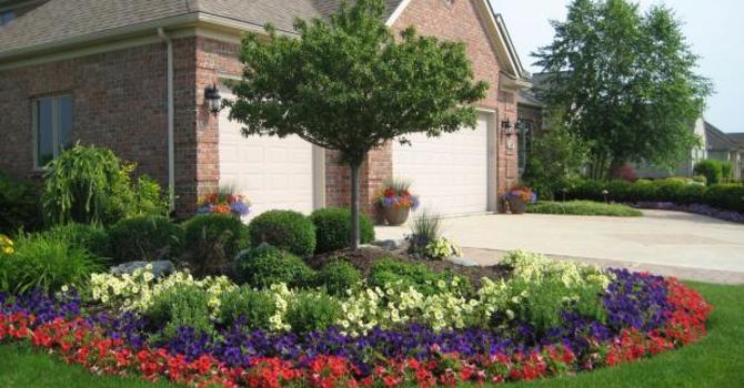 Enhancing Your Home's Curb Appeal with Plants image