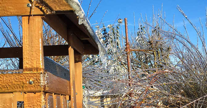 Kids and the Winter Garden