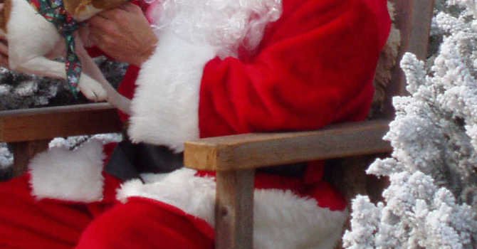 SPCA Pet Photos with Santa