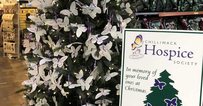 Celebrate a Life Tree