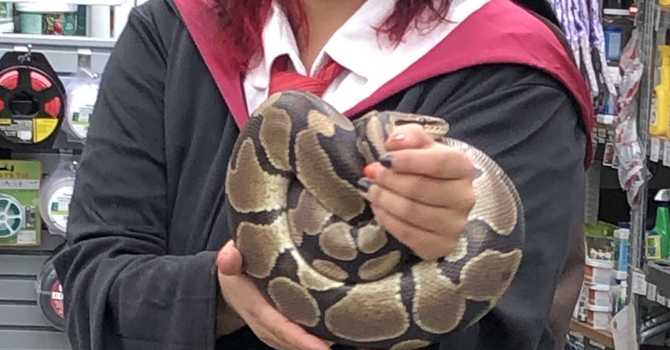 Rescue Reptile & Creature Visit