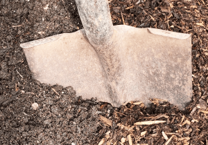 -shovel in the mulch Minter country garden