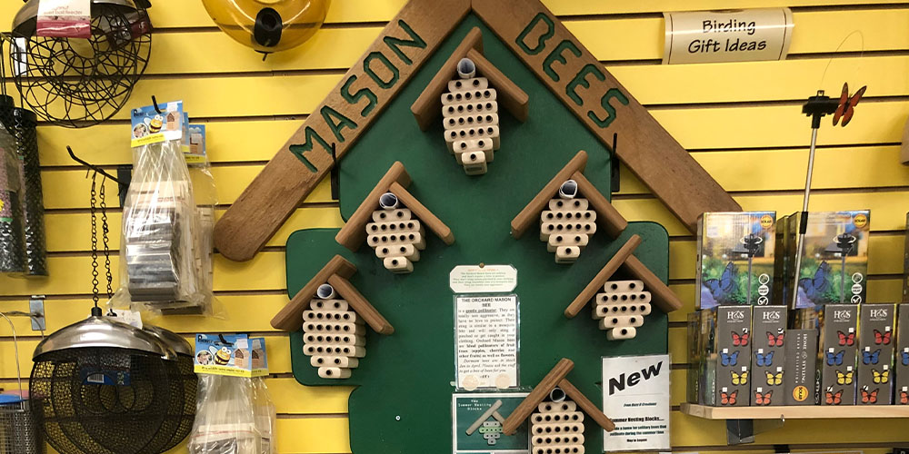 Minter Country Garden - All About Mason Bees--mason bee home