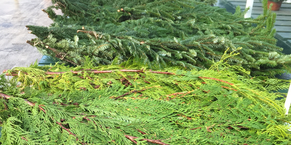 Minter Country Garden-Chilliwack-British Columbia-Christmas greens-evergreen boughs